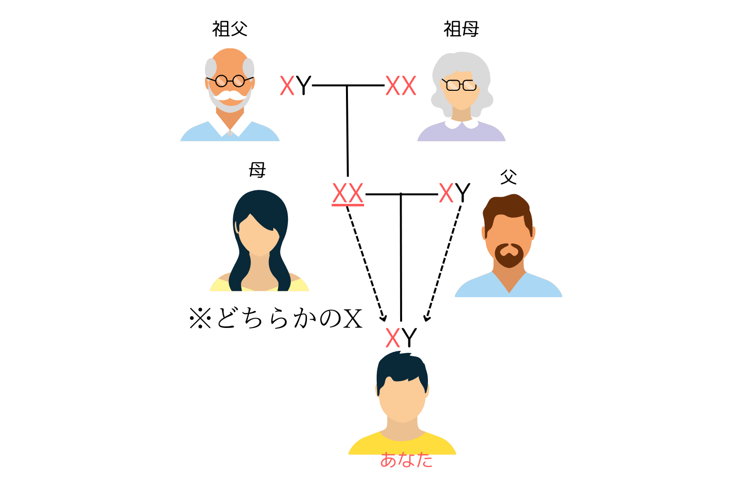 両親や祖父母に薄毛の人がいる