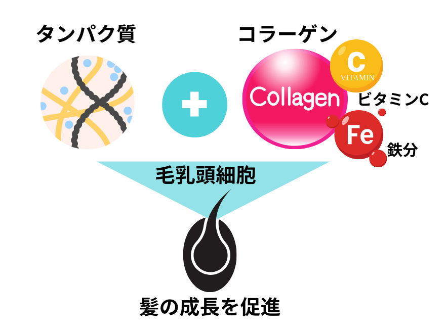 コラーゲン